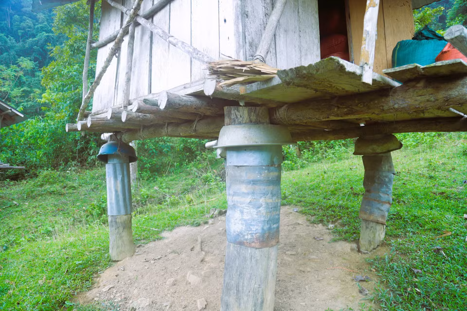 Pour solidifier la structure et la protéger des termites, les piliers du grenier sont recouverts de plaques métalliques fines. Photo : VNA
