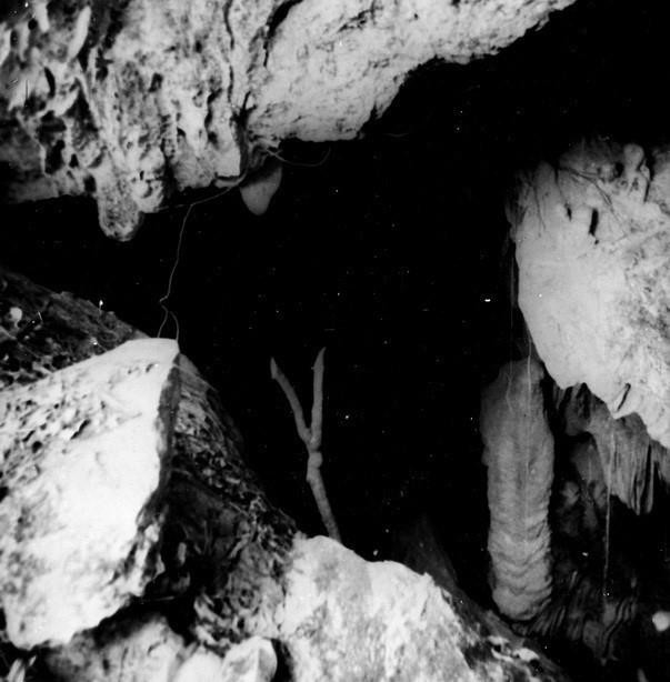 Le Président Ho Chi Minh a choisi Cao Bang, terre stratégique et riche en traditions patriotiques, comme première base révolutionnaire. Photo : La grotte de Coc, premier lieu de travail de Nguyen Ai Quoc à son retour le 8 février 1941. Photo : VNA
