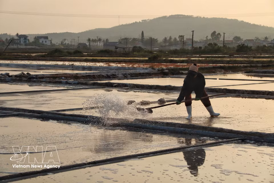 D’un bassin à l’autre, l’eau circule sans relâche au cœur des marais salants. Photo : VNA