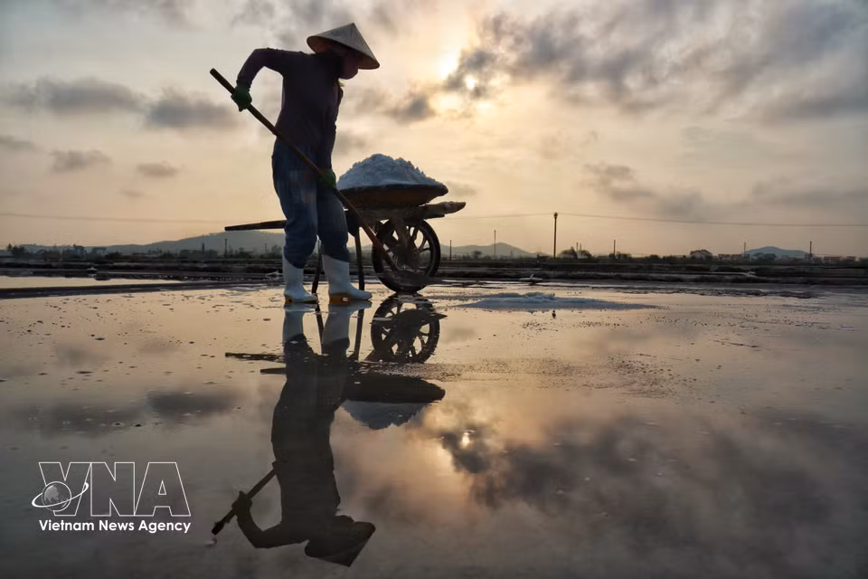 Sous un soleil implacable et des vents persistants, les sauniers continuent de faire vivre leur métier jour après jour. Photo : VNA