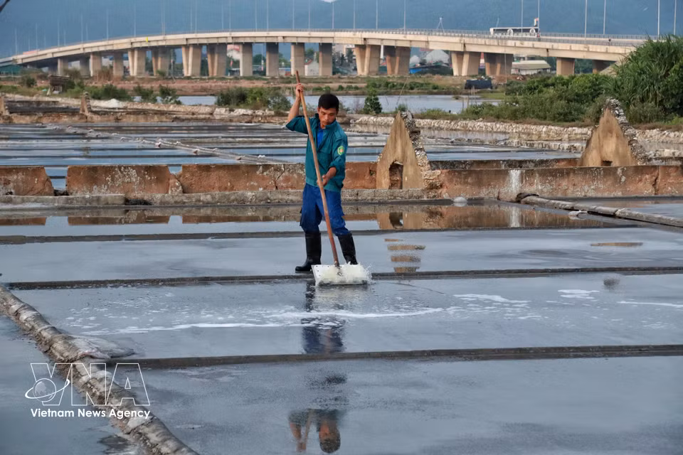 Le nivellement minutieux des sols prépare la naissance de cristaux de sel de qualité. Photo : VNA