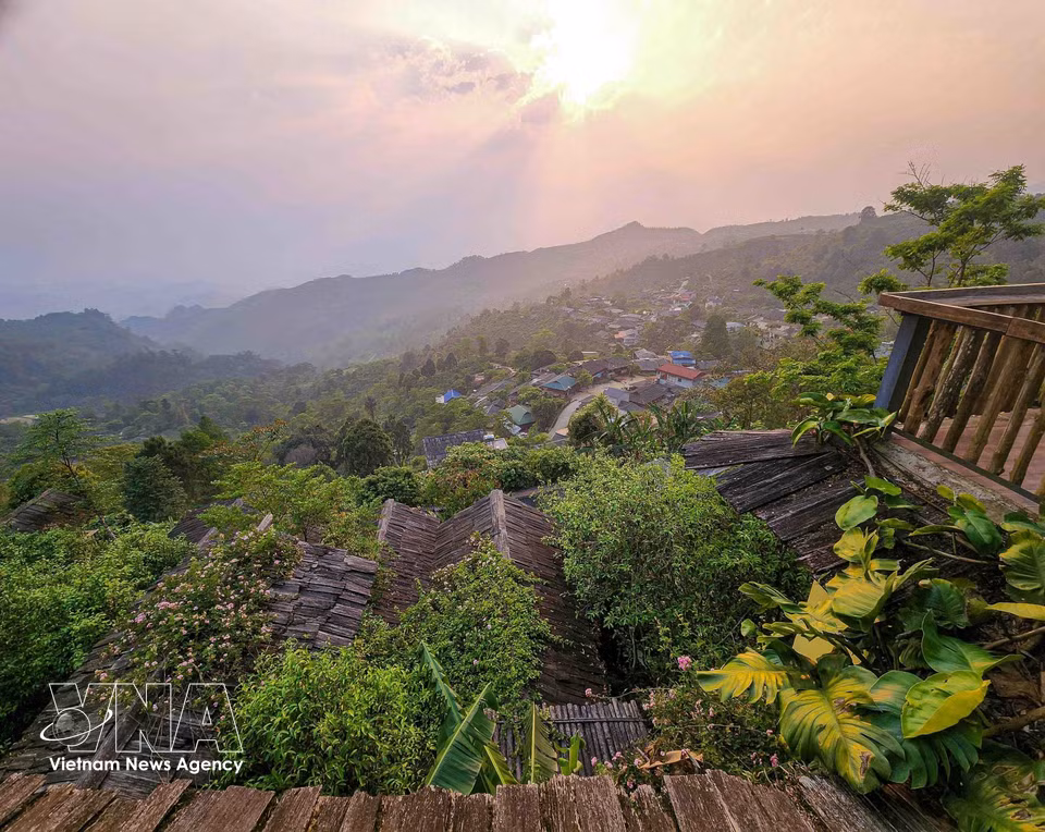 Située à une altitude comprise entre 1 300 et 1 400 mètres, Suoi Giang (province de Yen Bai) se distingue par ses habitations disséminées le long des collines, au cœur d’un environnement verdoyant et d’un climat frais tout au long de l’année, offrant des conditions idéales au développement du thé Shan Tuyet. Photo : VNA