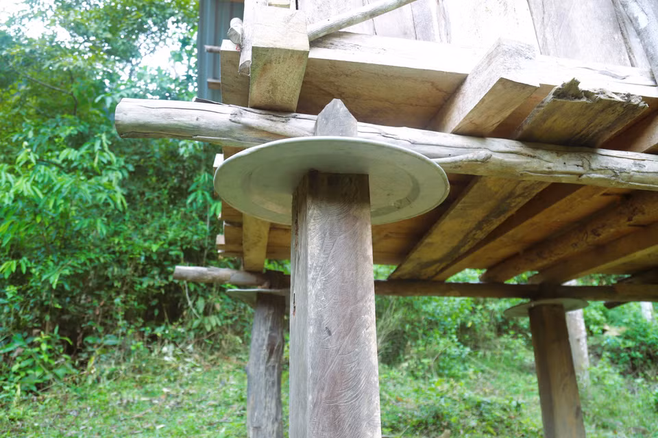 Sous les piliers, des plateaux ou bassines sont placés afin d’empêcher l’humidité de pénétrer et de bloquer l’accès des insectes et autres ravageurs. Photo : VNA