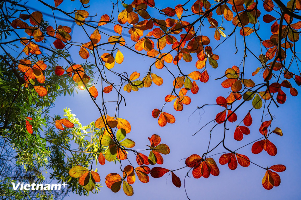 À la tombée de la nuit, Hanoï dévoile une autre facette, tout aussi colorée et captivante. (Photo : Minh Son/Vietnam+)