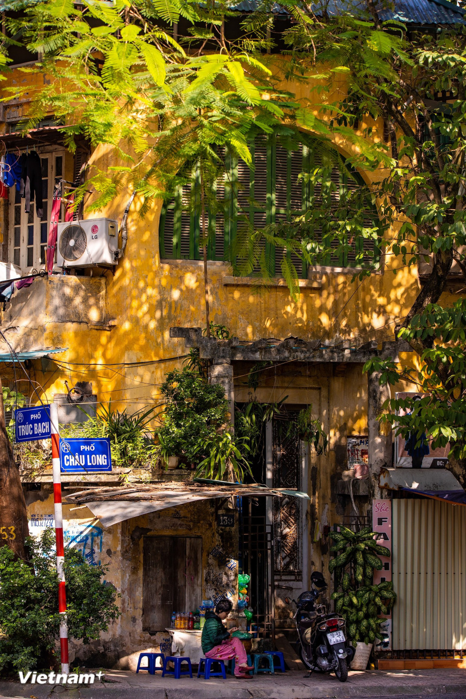 La lumière claire et douce filtre à travers les feuilles des arbres séculaires, dessinant des jeux d'ombres sur le pavé hanoïen. (Photo : Minh Son/Vietnam+)