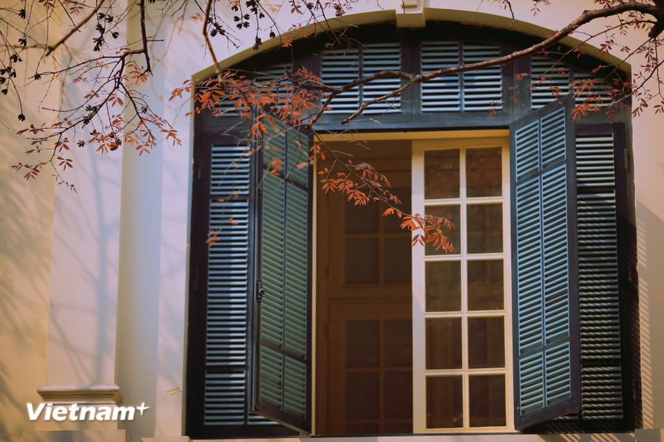 Dans les rues Phan Dinh Phung ou Hoang Diêu, les bourgeons sur les dracontomelons et les badamiers annoncent un renouveau de la vie. (Photo : Minh Son/Vietnam+)