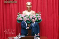 Le ministre Luong Tam Quang reçoit le secrétaire d'État adjoint américain Michael George DeSombre. Photo : VNA.