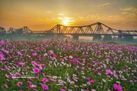 La beauté du pont Long Bien, symbole culturel et historique de Hanoi. Photo : VNA