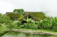 Maisons sur pilotis, couvertes de feuilles de palmier et tapissées de mousse verte. Photo: VNA