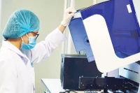 Recherches sur les gènes humains anciens à l'Institut de biologie (Académie vietnamienne des sciences et technologies). Photo : nhandan.vn