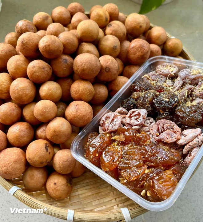 Le pancovier mûr. Photo: VietnamPlus sau-chin-2688.jpg.jpg