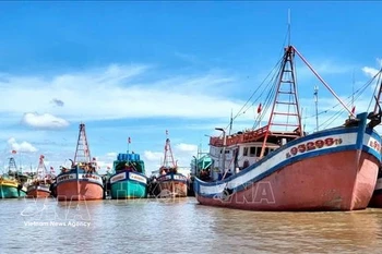 Ca Mau mobilise l’ensemble du système politique pour lever le « carton jaune » de la CE. Photo: VNA