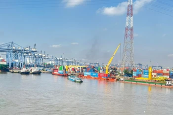 En 2024, les exportations vietnamiennes vers les États-Unis ont représenté environ 29,5 % du chiffre d'affaires total des exportations. Photo: VietnamPlus