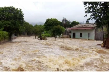 La circulation résiduelle du typhon Wipha a provoqué de très fortes pluies dans les zones montagneuses de l’ouest de la province de Nghe An. Photo: VNA