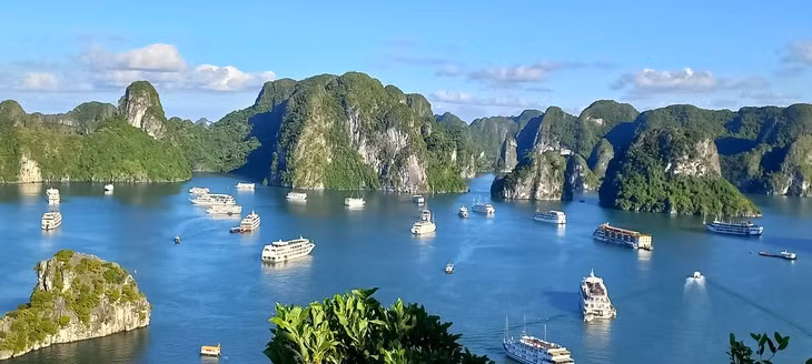 halong VOV.jpg