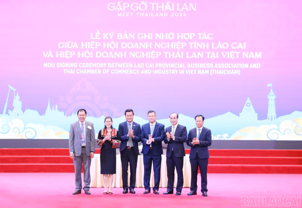 mou lao cai thaicham.jpg