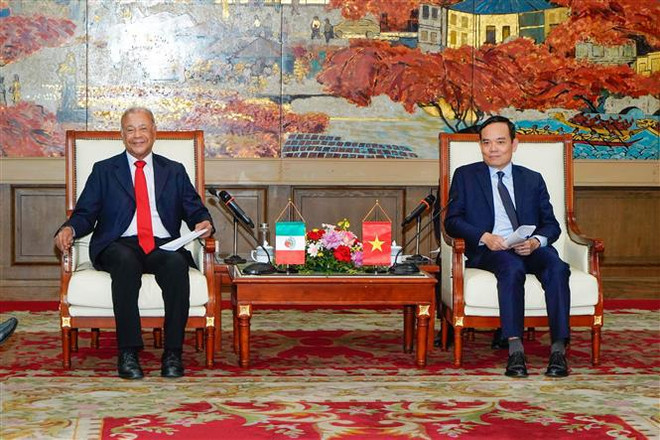 Hai Phong : Le secrétaire du Comité municipal du Parti reçoit une délégation mexicaine ảnh 1 Hai Phong : Le secrétaire du Comité municipal du Parti reçoit une délégation mexicaine ảnh 1