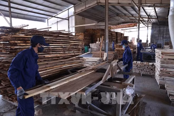 Le Vietnam cherche à éliminer les difficultés pour la production de fin d’année ảnh 2 Le Vietnam cherche à éliminer les difficultés pour la production de fin d’année ảnh 2