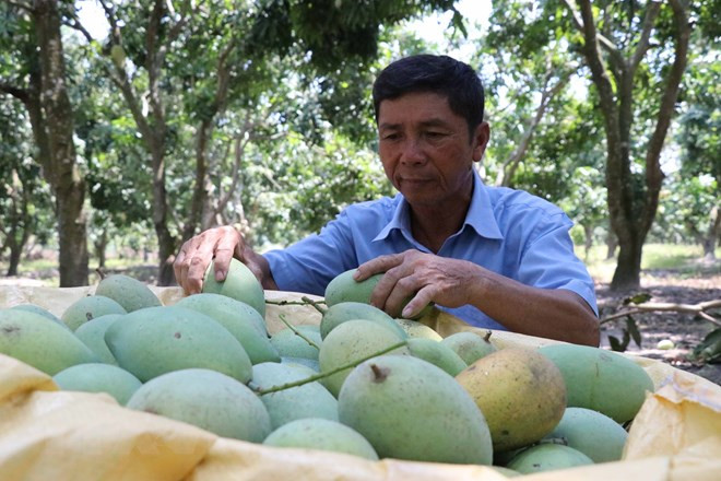 Le Vietnam exhorte les entreprises suisses à investir dans l’agriculture ảnh 1 Le Vietnam exhorte les entreprises suisses à investir dans l’agriculture ảnh 1