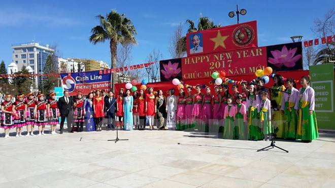 Les Vietnamiens à Chypre fêtent le Nouvel an lunaire ảnh 1 Les Vietnamiens à Chypre fêtent le Nouvel an lunaire ảnh 1