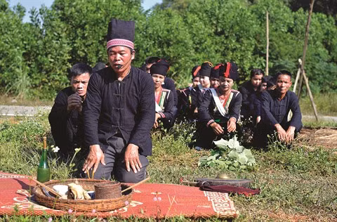 La renaissance salutaire des cultures minoritaires ảnh 3