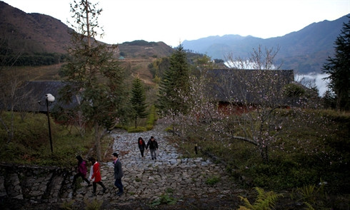 Lao Cai: forte croissance de l'afflux touristique pendant le Têt du Coq ảnh 1 Lao Cai: forte croissance de l'afflux touristique pendant le Têt du Coq ảnh 1