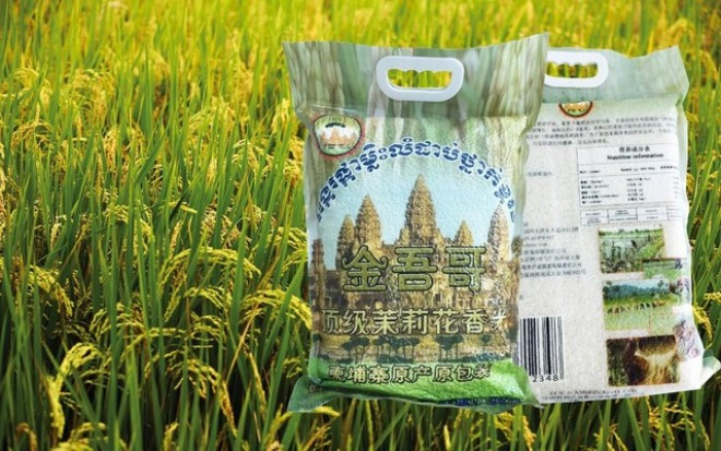 Près de 160 millions de dollars pour développer le secteur agricole au Cambodge ảnh 1 Près de 160 millions de dollars pour développer le secteur agricole au Cambodge ảnh 1