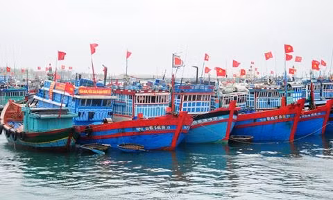 Les pêcheurs chantent l’hymne national avant d’aller à Hoang Sa ảnh 1 Les pêcheurs chantent l’hymne national avant d’aller à Hoang Sa ảnh 1