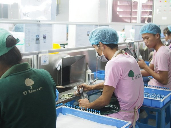 Le Laos, nouvelle destination des investisseurs japonais ảnh 1 Le Laos, nouvelle destination des investisseurs japonais ảnh 1