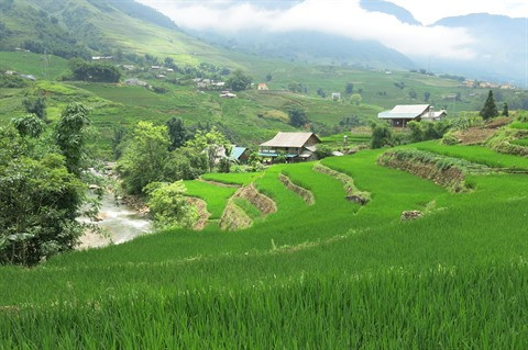 L’Année touristique nationale 2017 donne son coup d'envoi samedi ! ảnh 2 L’Année touristique nationale 2017 donne son coup d'envoi samedi ! ảnh 2