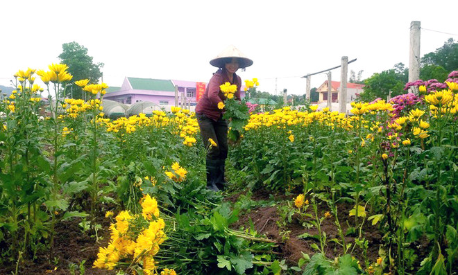 ​Nouvelle ruralité: Quang Ninh sur la ligne d’arrivée ảnh 1