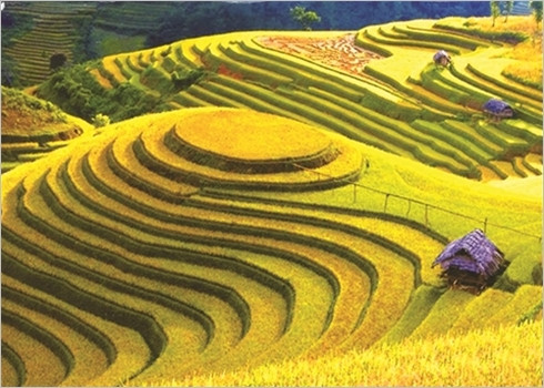 Sa Pa dans le cœur des touristes étrangers ảnh 2 Sa Pa dans le cœur des touristes étrangers ảnh 2