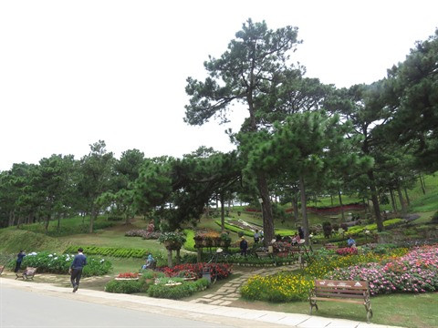 Lâm Dông : Dà Lat, la ville noyée dans la verdure ảnh 4 Lâm Dông : Dà Lat, la ville noyée dans la verdure ảnh 4