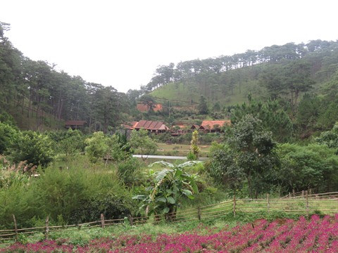 Lâm Dông : Dà Lat, la ville noyée dans la verdure ảnh 1 Lâm Dông : Dà Lat, la ville noyée dans la verdure ảnh 1
