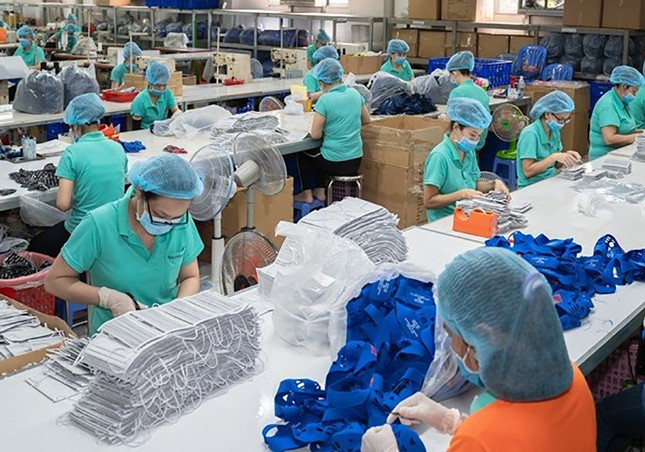 Le Vietnam a exporté 557 millions de masques médicaux au 1er semestre ảnh 1 Le Vietnam a exporté 557 millions de masques médicaux au 1er semestre ảnh 1