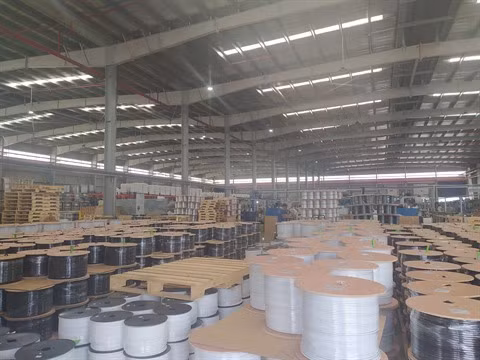 La ZI DEEP C, une destination de choix pour les investisseurs ảnh 2