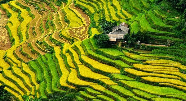 Les sites touristiques à ne pas manquer à Ha Giang ảnh 7