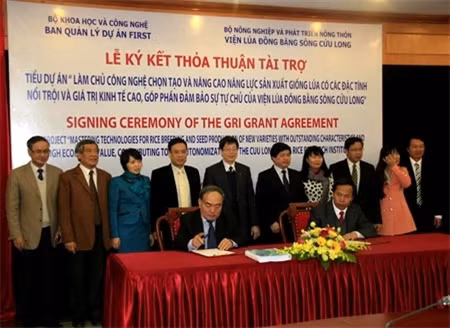 Trois millions de dollars pour améliorer les technologies rizicoles ảnh 1