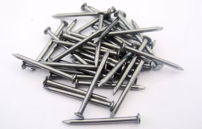 Le Département américain du commerce ne tape pas sur le même clou ảnh 1