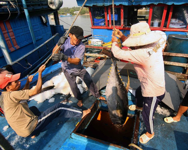 Publication d’un livre blanc sur la pêche INN au Vietnam ảnh 1 Publication d’un livre blanc sur la pêche INN au Vietnam ảnh 1