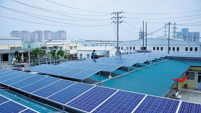 Une compagnie hongkongaise cherche à investir dans la province de Hâu Giang ảnh 1