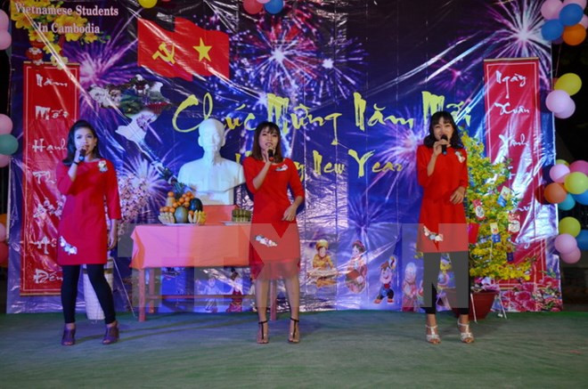 Soirée de gala en l’honneur du Nouvel An au Cambodge ảnh 1