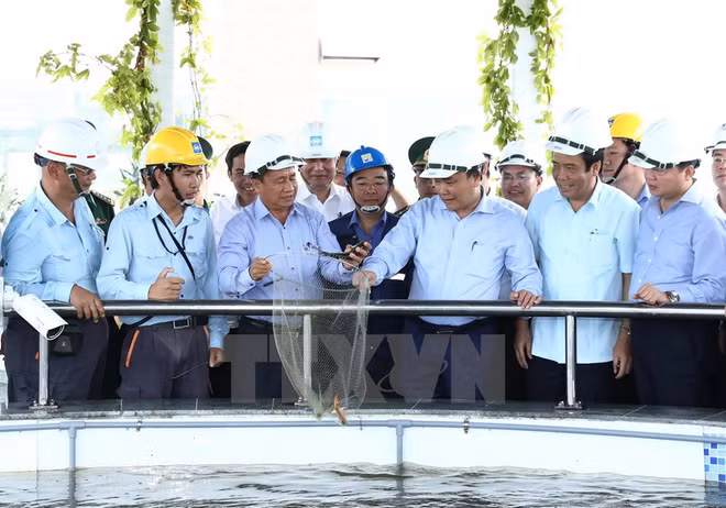 L’environnement, "problème vital pour Formosa", dit le PM ảnh 1