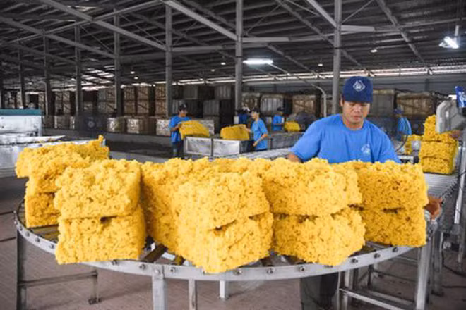 Les exportations de caoutchouc du Vietnam continueront de croître en 2022 ảnh 1 Les exportations de caoutchouc du Vietnam continueront de croître en 2022 ảnh 1