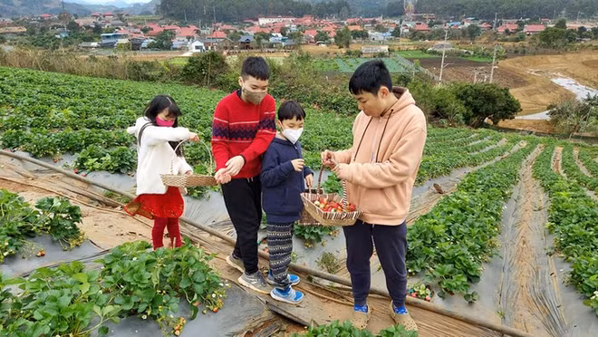 Vietnam pourra-t-il retrouver son dynamisme en 2022? ảnh 1