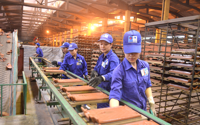Le président cubain s'engage à favoriser les investisseurs vietnamiens ảnh 1 Le président cubain s'engage à favoriser les investisseurs vietnamiens ảnh 1