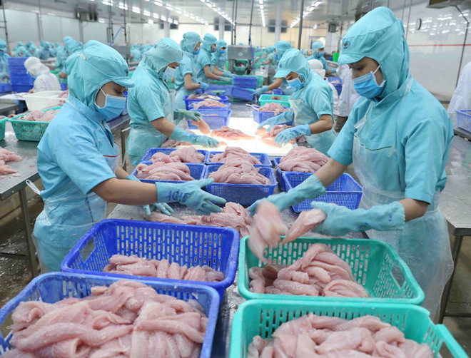 Janvier: 644 millions de dollars d’exportation de produits aquatiques ảnh 1 Janvier: 644 millions de dollars d’exportation de produits aquatiques ảnh 1
