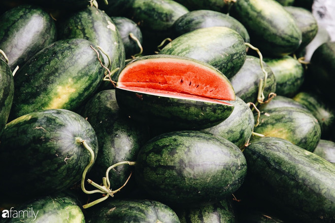 L'ambassade du Qatar soutient les agriculteurs de pastèque au Centre ảnh 1 L'ambassade du Qatar soutient les agriculteurs de pastèque au Centre ảnh 1