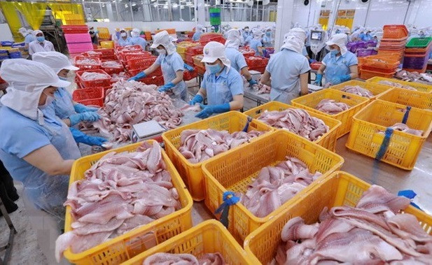 Le commerce des produits agro-sylvicoles et aquatiques dépasse les 20 milliards de dollars ảnh 1 Le commerce des produits agro-sylvicoles et aquatiques dépasse les 20 milliards de dollars ảnh 1