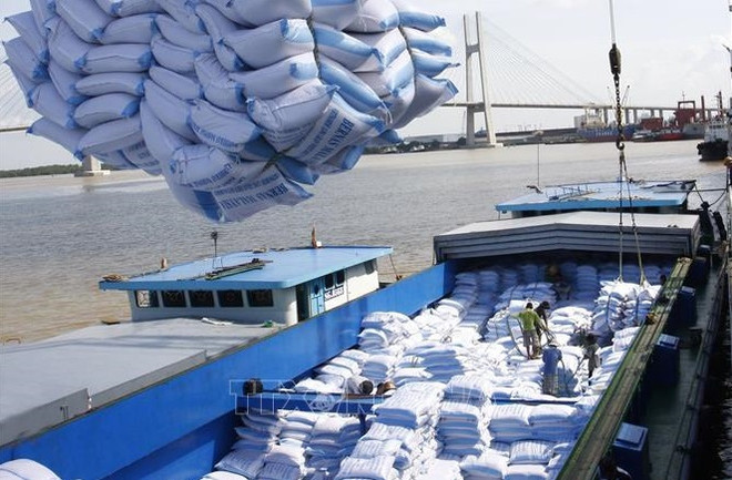 Les exportations du riz du Vietnam connaissent des conditions favorables ảnh 1 Les exportations du riz du Vietnam connaissent des conditions favorables ảnh 1